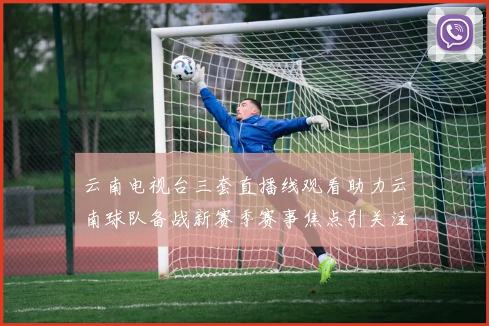 云南电视台三套直播线观看助力云南球队备战新赛季赛事焦点引关注