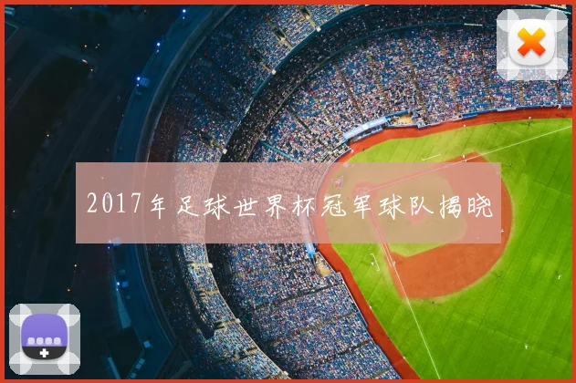2017年足球世界杯冠军球队揭晓