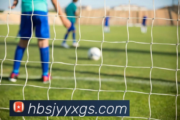 爱游戏官网服务体系